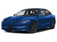 2024 Tesla Model 3 Long Range RWD Deep Blue Metallic  Shot 14
