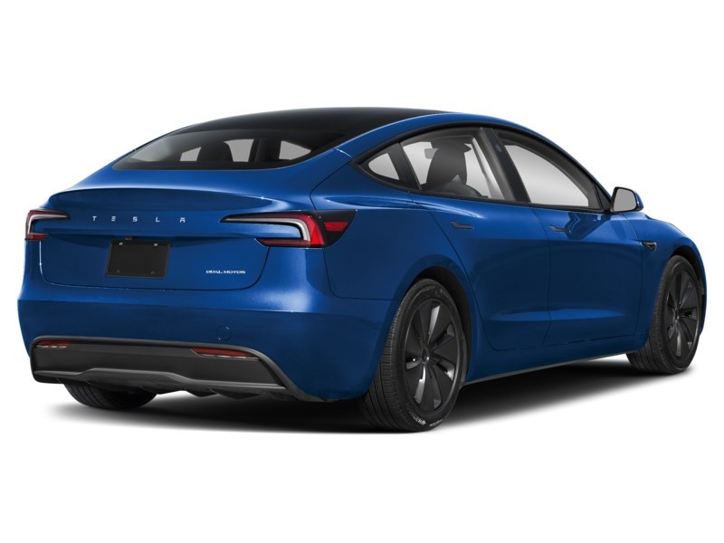 2024 Tesla Model 3 Long Range RWD Deep Blue Metallic  Shot 19