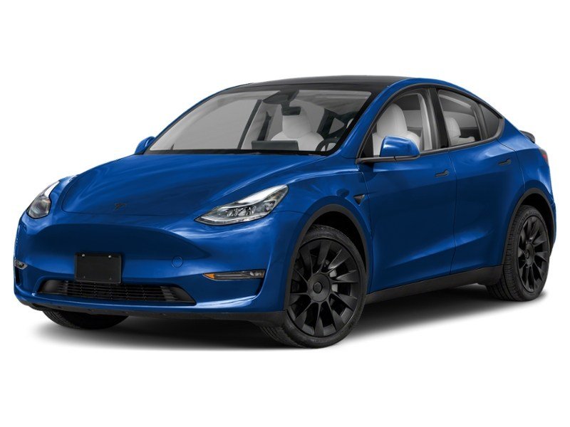 2024 Tesla Model Y Long Range AWD Deep Blue Metallic  Shot 7