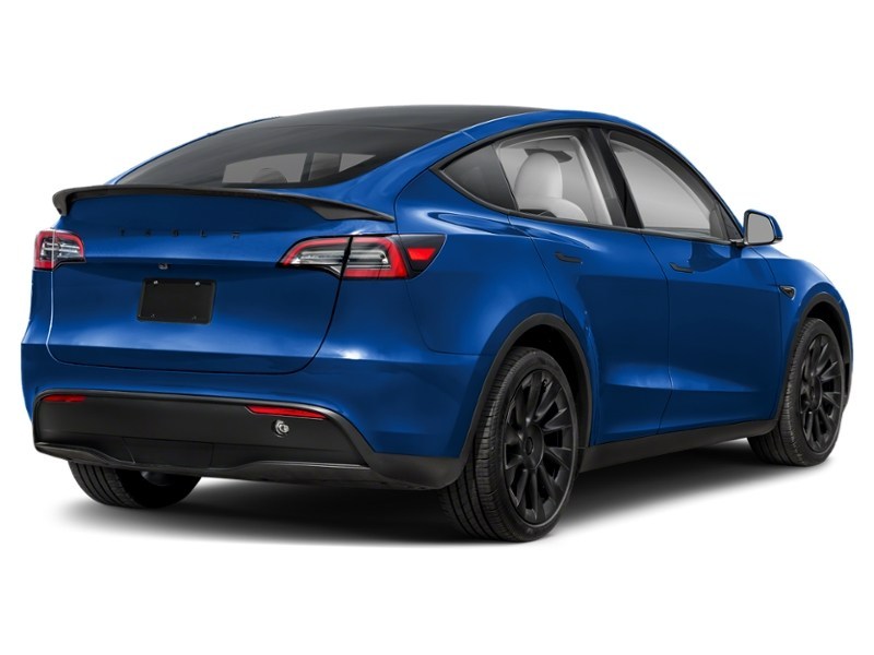 2024 Tesla Model Y Long Range AWD Deep Blue Metallic  Shot 12