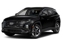 2025 Hyundai Tucson Preferred AWD Ash Black  Shot 7