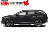 2025 Hyundai Tucson Preferred AWD w/Trend Pkg Ash Black  Shot 11