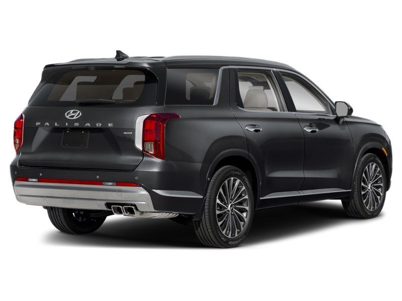 2025 Hyundai Palisade Ultimate Calligraphy 7-Passenger AWD Abyss Black  Shot 6